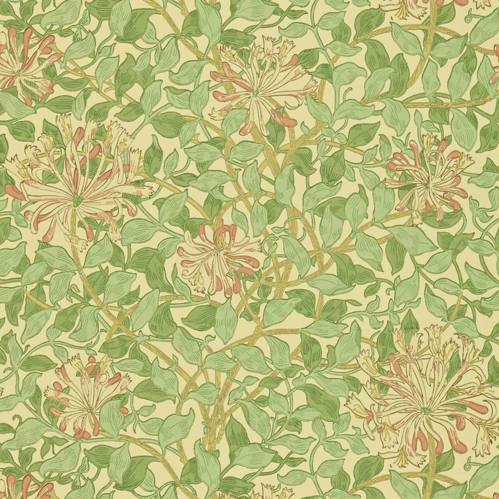 Honeysuckle Green Beige Pink