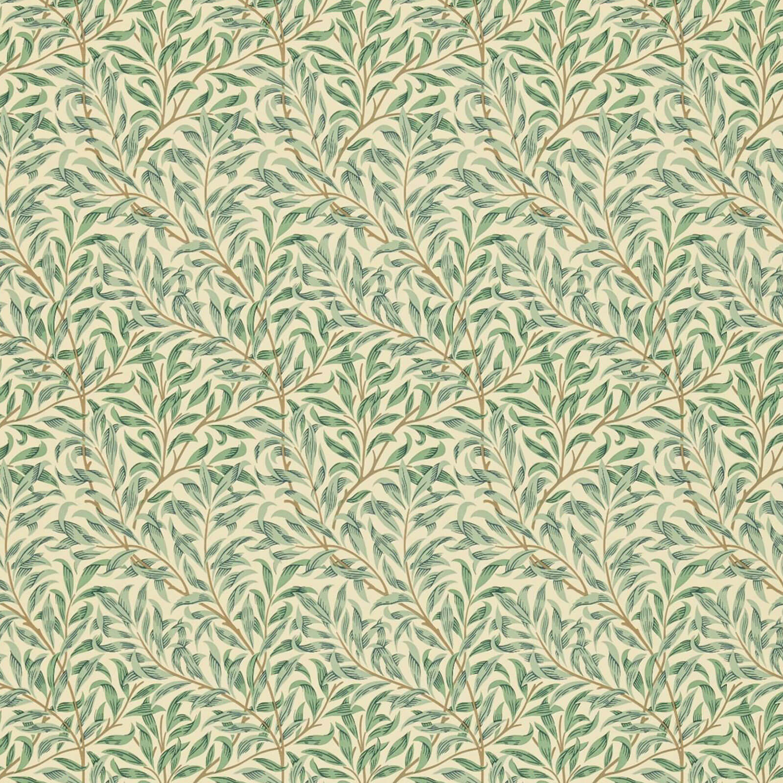 Willow Bough Minor Privet